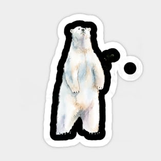 Polar white bear Sticker